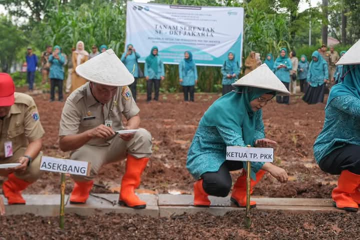 Peran Strategis PKK Jakarta Utara dalam Mendukung Ketahanan Pangan Nasional
