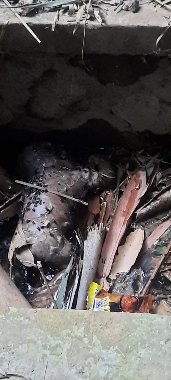 Misteri Bayi Tewas di Irigasi, Polisi Buru Pelaku Pembuangan