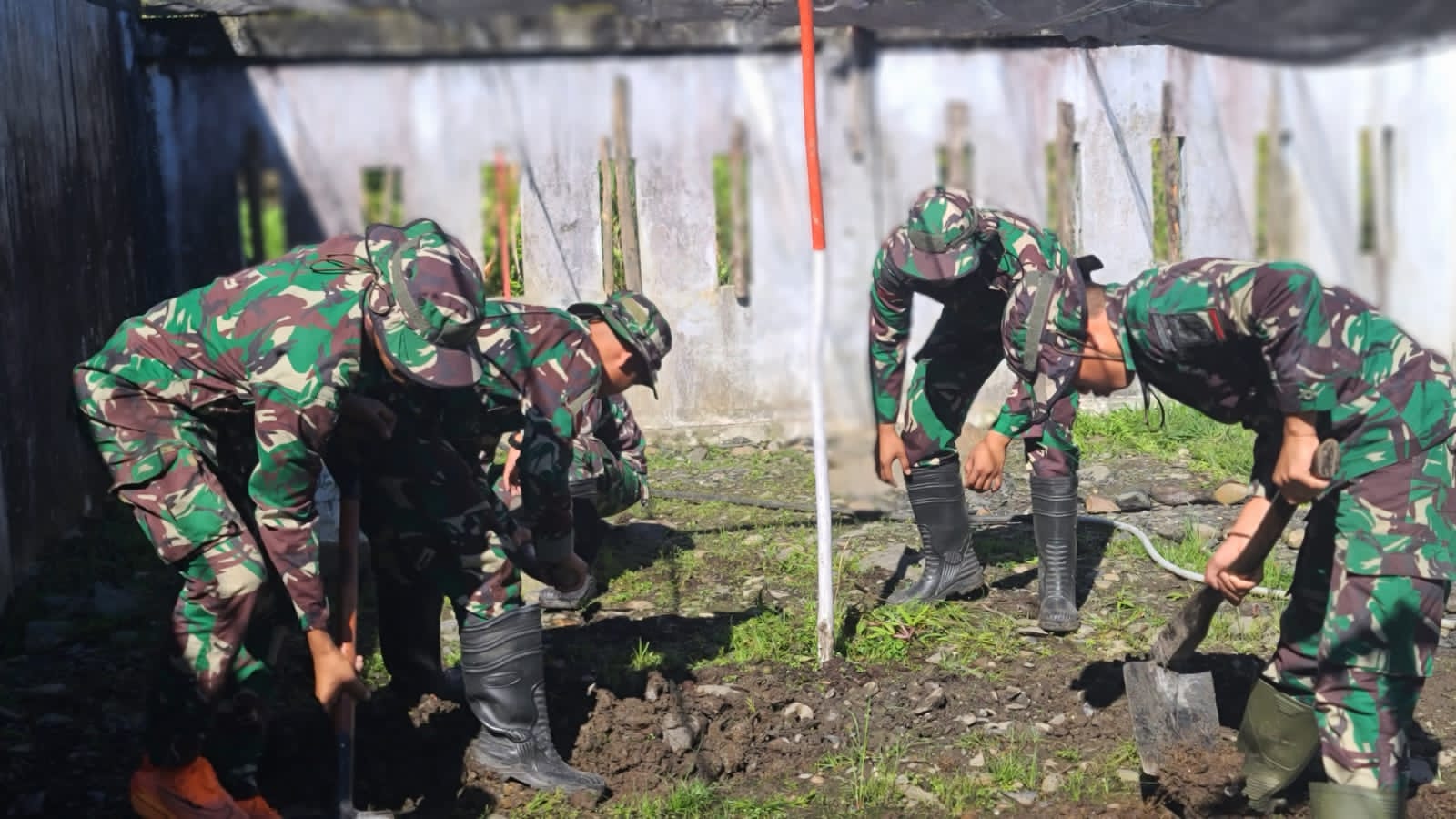 Satgas Yonif 715/Motuliato Berdayakan Lahan Tidur untuk Ketahanan Pangan di Puncak Jaya