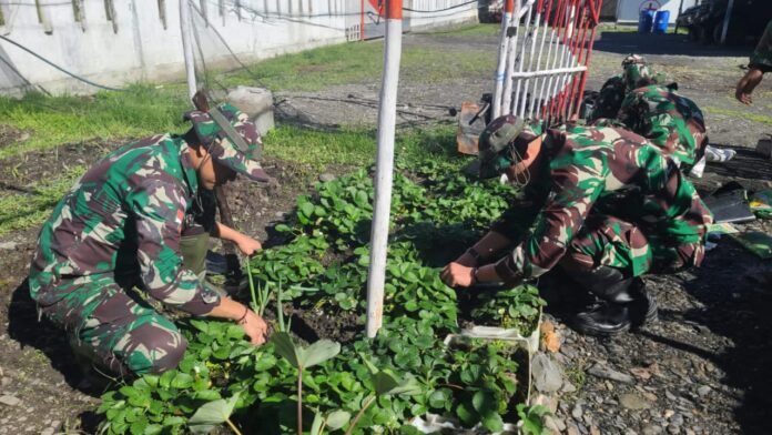Satgas Yonif 715/Motuliato Berdayakan Lahan Tidur untuk Ketahanan Pangan di Puncak Jaya