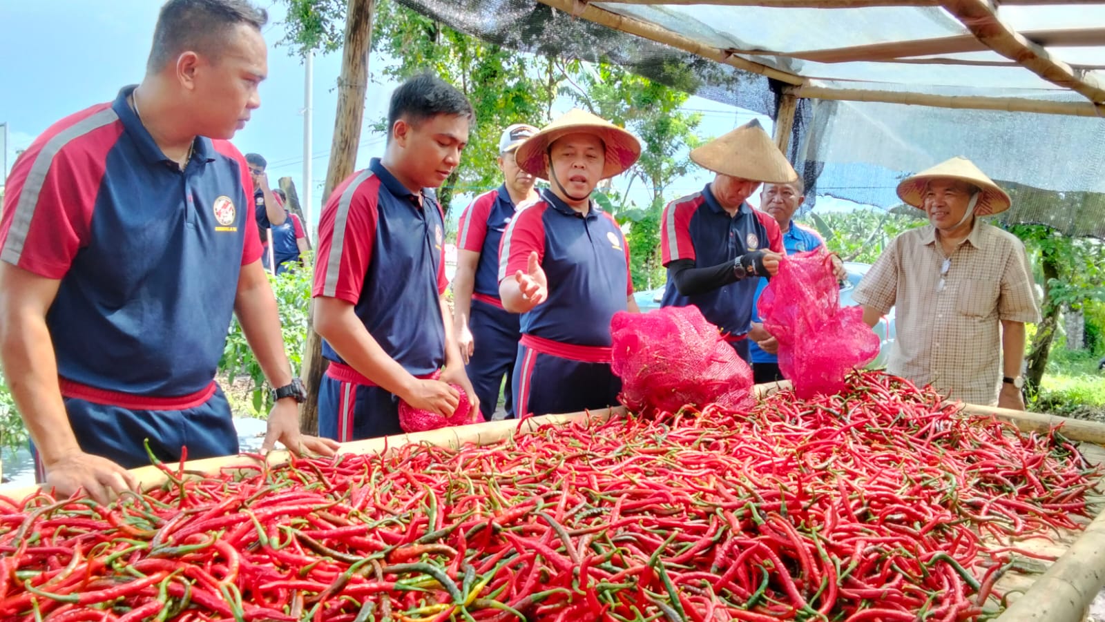 Sinergi Kuat Bakamla RI dan DWP, Panen Perdana Cabai Percepat Asta Cita Menuju Indonesia Emas