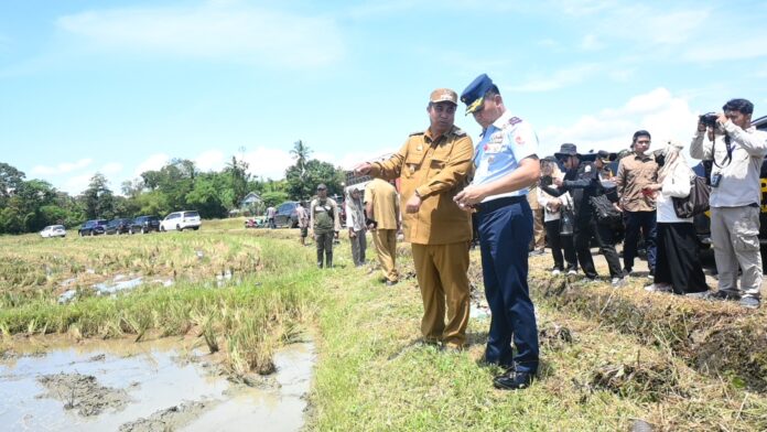 Langkah Konkret TNI dan Pemerintah dalam Jaga Lumbung Pangan Nusantara