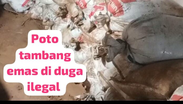 Aktivitas Penambangan Emas Ilegal di Desa Suka Maju Terungkap, Ancaman Hukum Mengintai