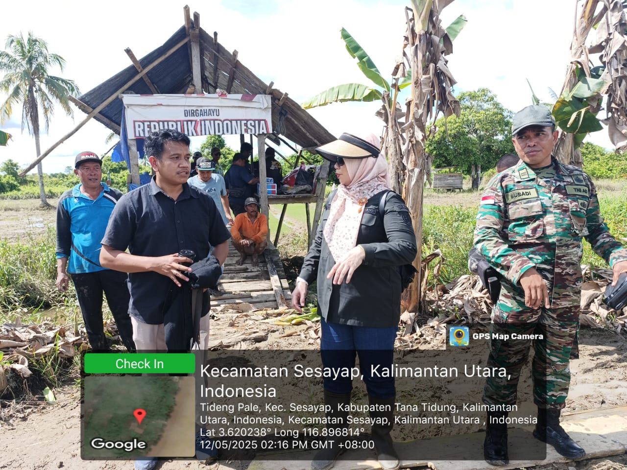 Aksi Nyata Pemerintah Dorong Tanam Cepat dan Produktif di Kalimantan Utara