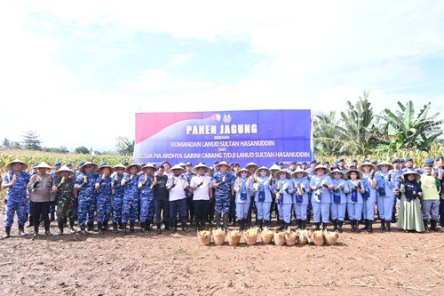 Panen Jagung Hibrida Tunjukkan Kepemimpinan Visioner TNI AU dalam Pembangunan Pertanian